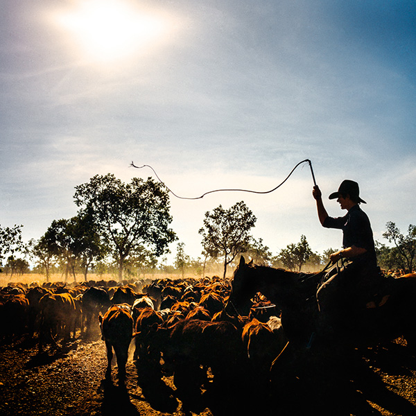 Robert Byron Jackaroo from Mt Gambier, SA Bradshaw, NT