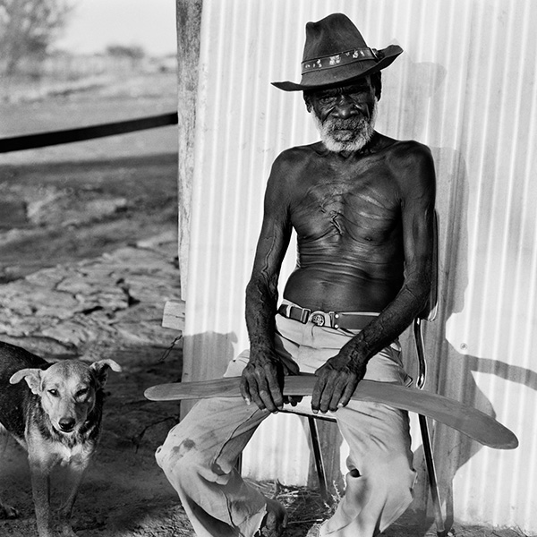 Wallaby Japila Yarralin Aboriginal Land, NT
